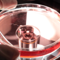 臍帯幹細胞培養上清液療法について